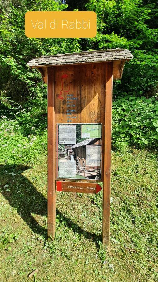 דימארו Marmot Apartment מראה חיצוני תמונה