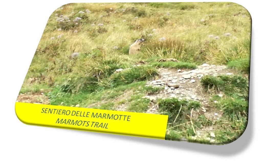 דימארו Marmot Apartment מראה חיצוני תמונה